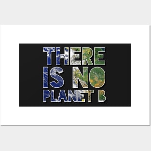 There Is No Planet B Posters and Art